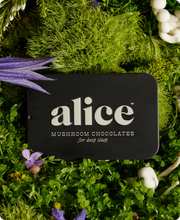 NIGHTCAP Alice