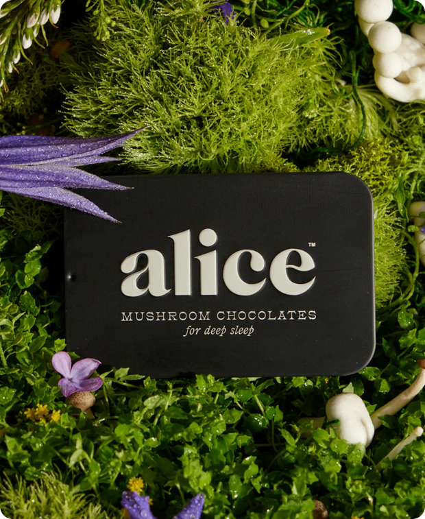 NIGHTCAP Alice