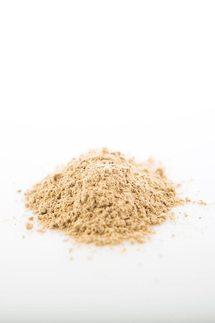 Reishi Mushroom Powder (Organic) Sun Potion